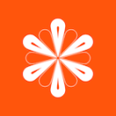 环球官方网站app-天然翡翠玉手镯缅甸冰种圆条细款正圈飘花紫罗兰玉镯女款少女包邮